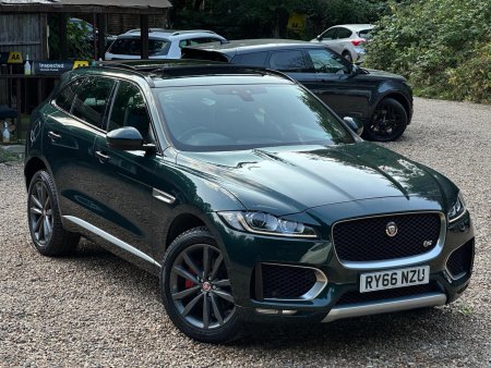 JAGUAR